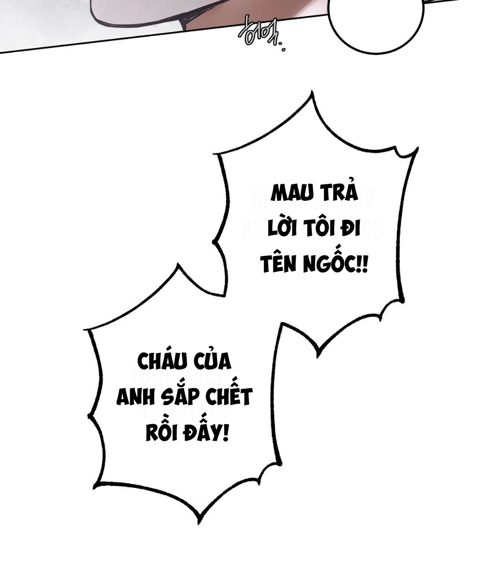 lời nói dối vĩnh cửu của người chapter 7.2 11