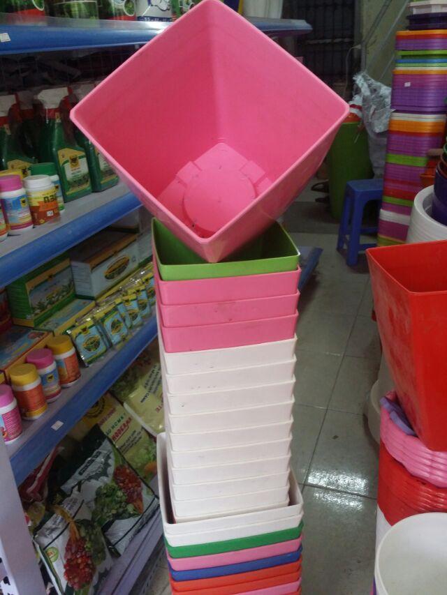 Chậu vuông v25