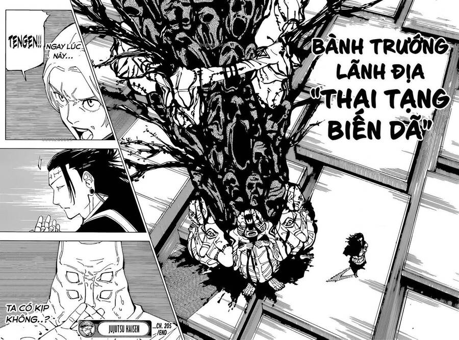 jujutsu kaisen - chú thuật hồi chiến chapter 205 17