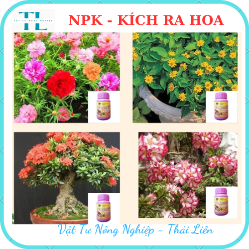 Phân Bón Lá Đầu Trâu Siêu Ra Hoa 6-30-32+TE Plus Kích thích ra hoa đậu trái
