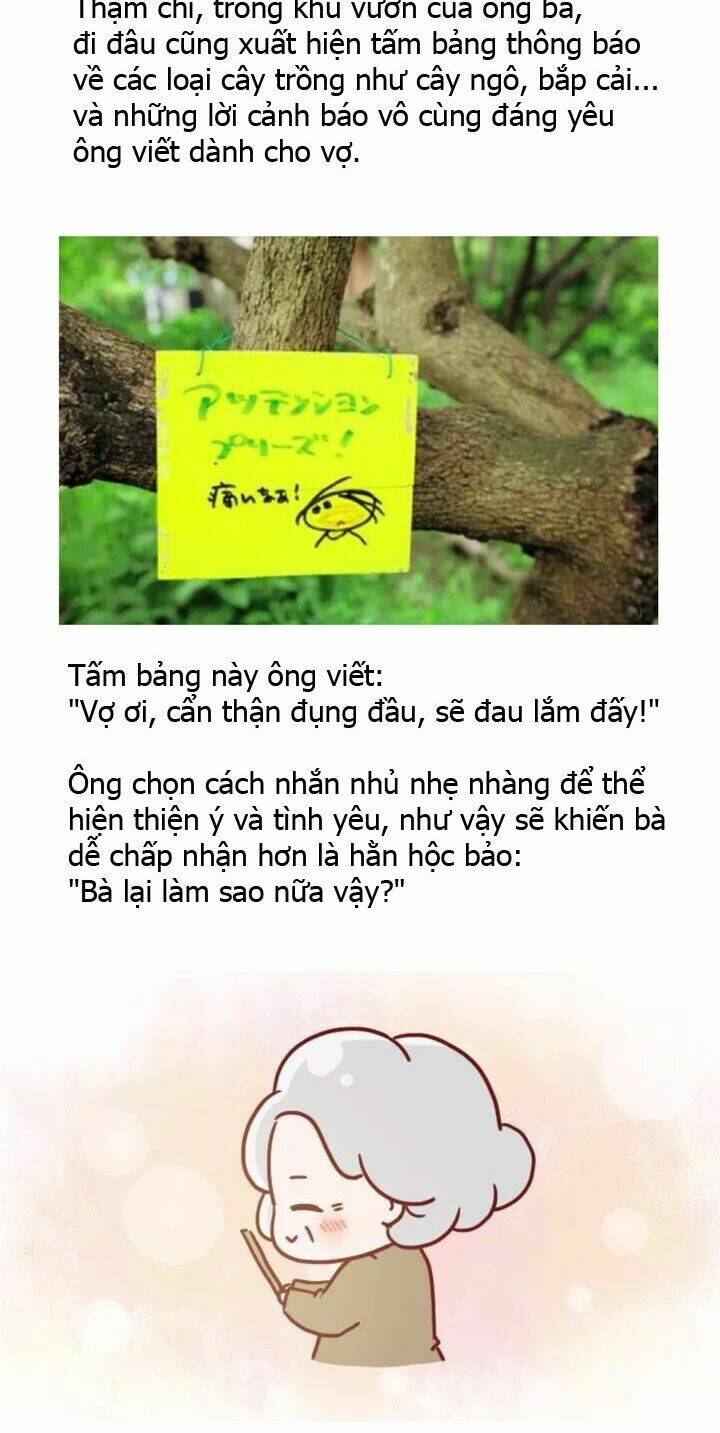 giải mã tình yêu chapter 277 6