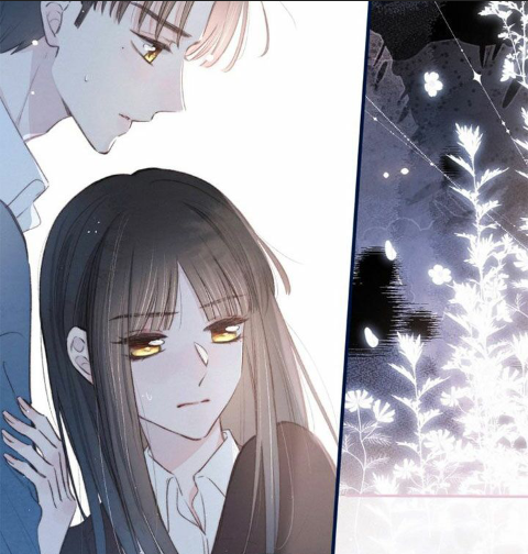 nỗi buồn của hoa cẩm tú cầu chapter 28 14