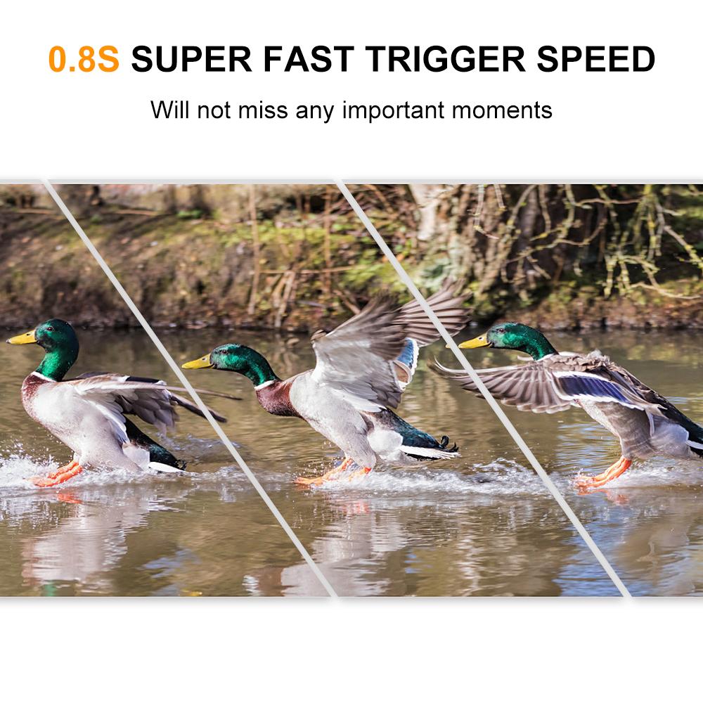 5MP 480P Trail and Game Camera Motion Activated Hunting Camera Outdoor Wildlife Scouting Camera Night Vision Waterproof