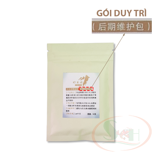 Bộ mầm kích tảo xanh nuôi cá tép đánh rêu xanh bể cá tép sula