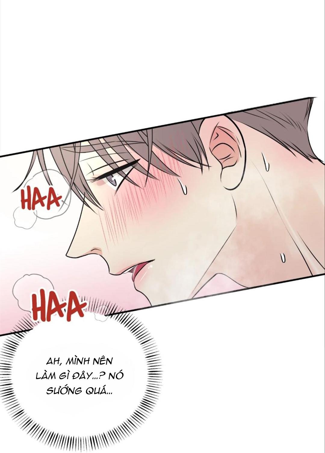 hạnh phúc trọn vẹn chapter 19 43