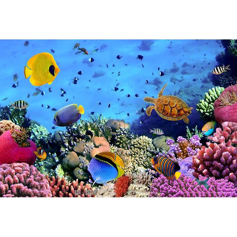 Tranh dán tường Tranh phong cảnh Đại dương biển - góc nhìn lãng mạn,Tranh dán tường 3d hiện đại