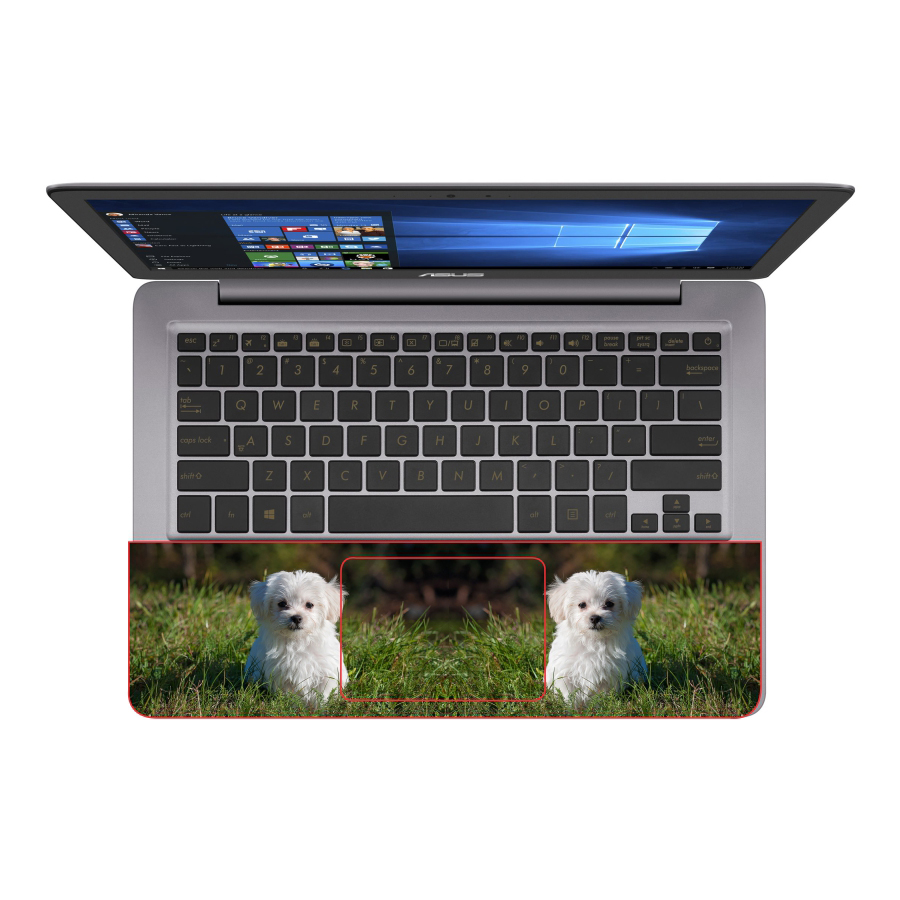 Mẫu Skin Dán Trang Trí Decal Laptop Animal DCLTDV 005