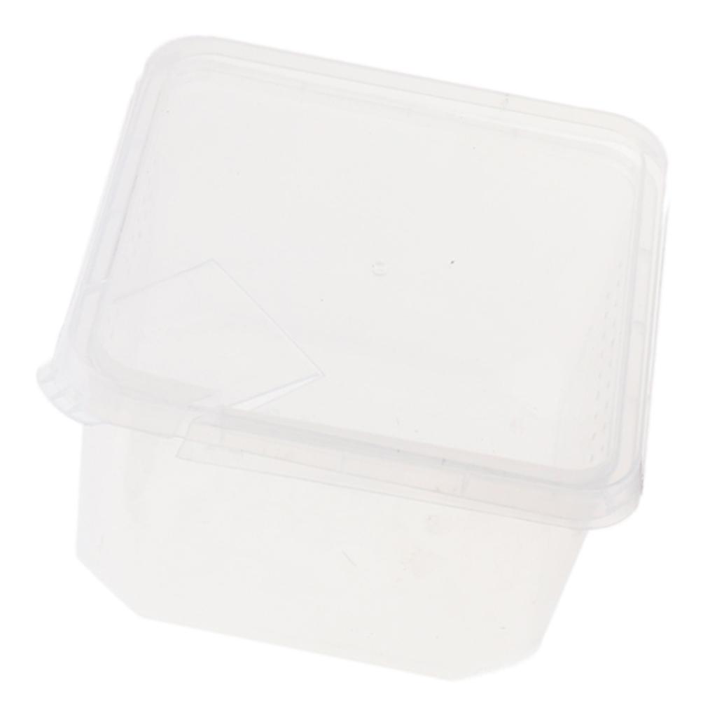 Plastic Insect Spider Habitat Feeding Box Cage Container REUSABLE 12x12x7cm