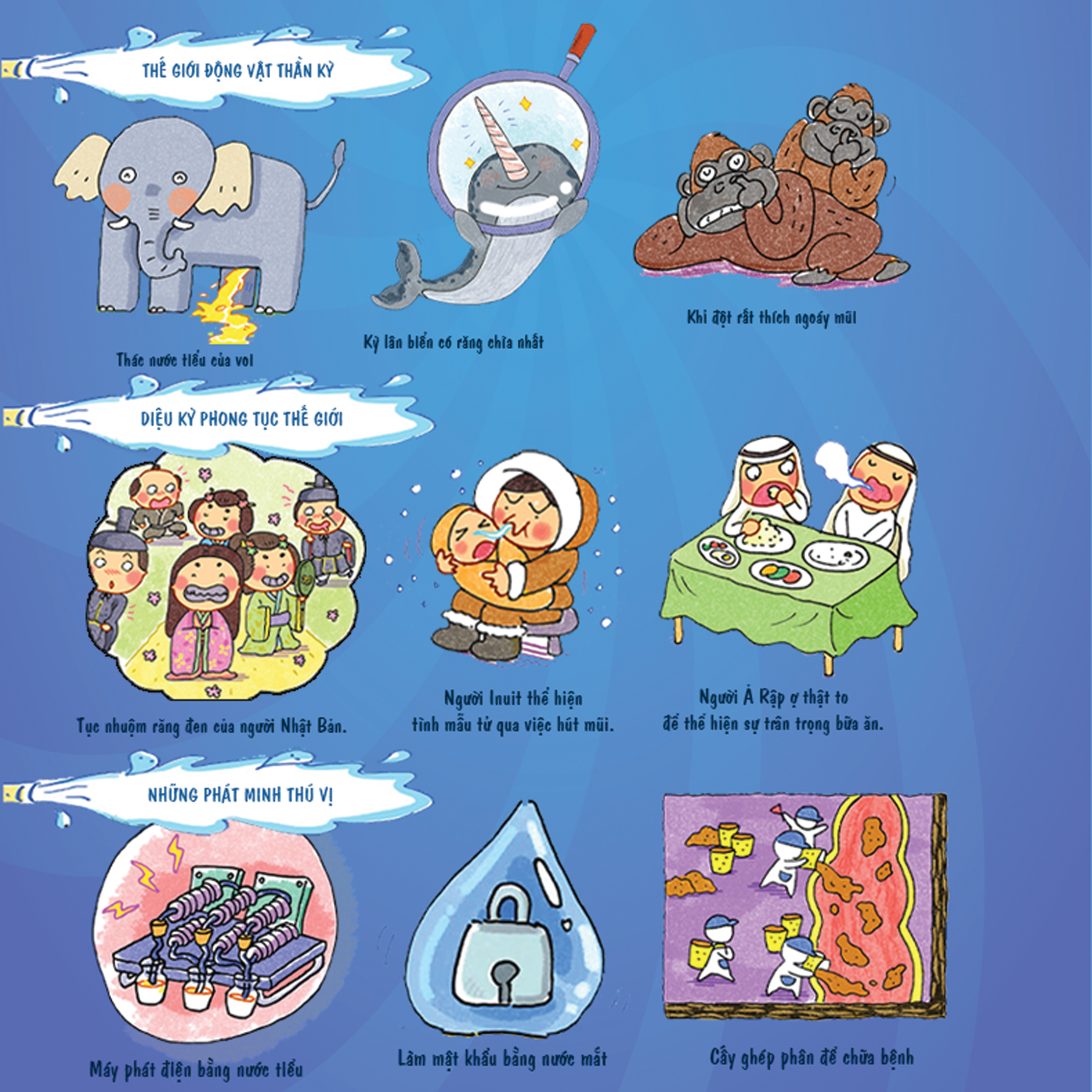 Combo 1 - Cơ thể siêu rắc rối 8T