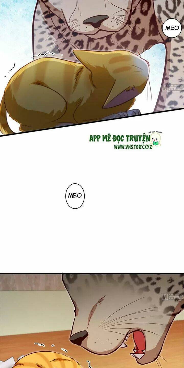 thiên hậu trở về chapter 186 23