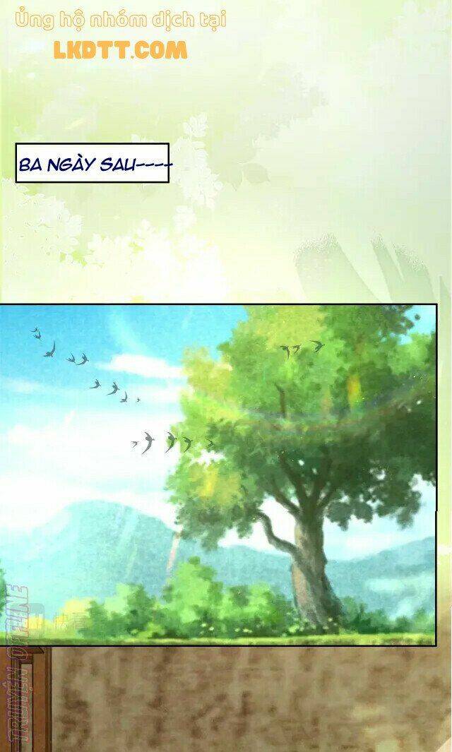 hắc hóa nam chính trực tuyến nuôi thỏ chapter 41 15