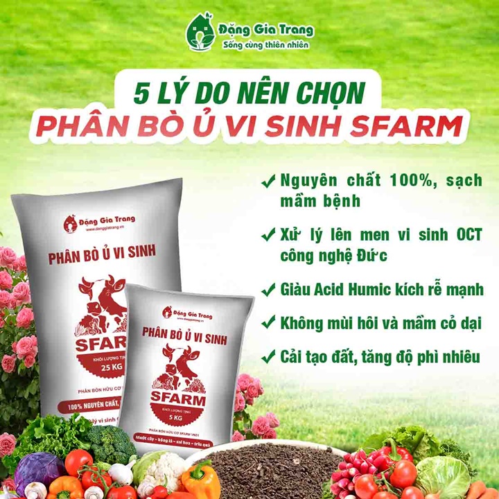 Phân bò ủ vi sinh Sfarm túi 5 ký