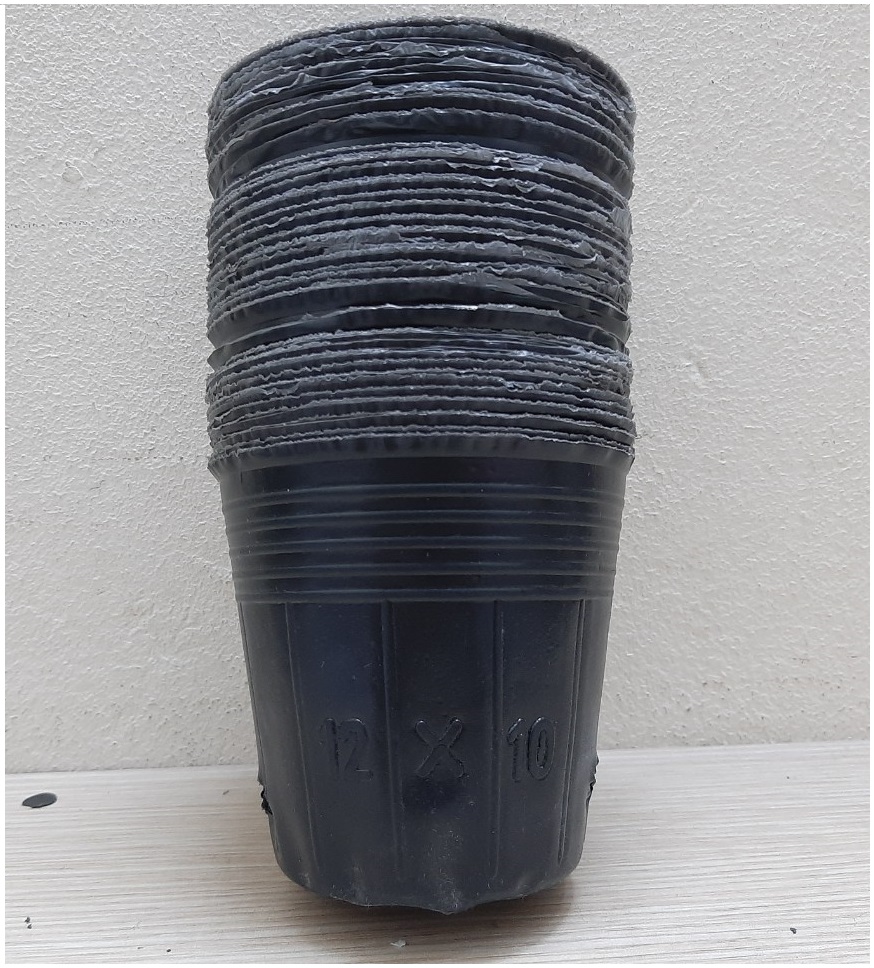 5 kg chậu nhựa mềm ươm cây 12x10 - bịch, túi bầu ươm cây 12x10; đường kính miệng x cao: 9x9cm