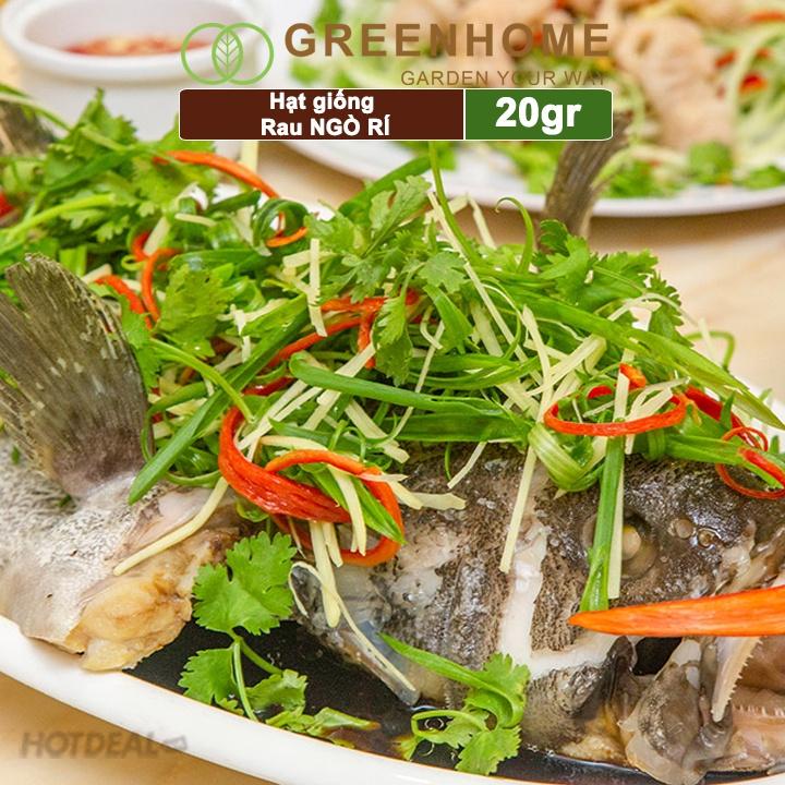 Hạt Giống Ngò Rí Greenhome, Gói 20gr, Dễ Trồng Quanh Năm, Nảy Mầm Cao, Thu Hoạch Nhanh, Năng Suất Cao G03