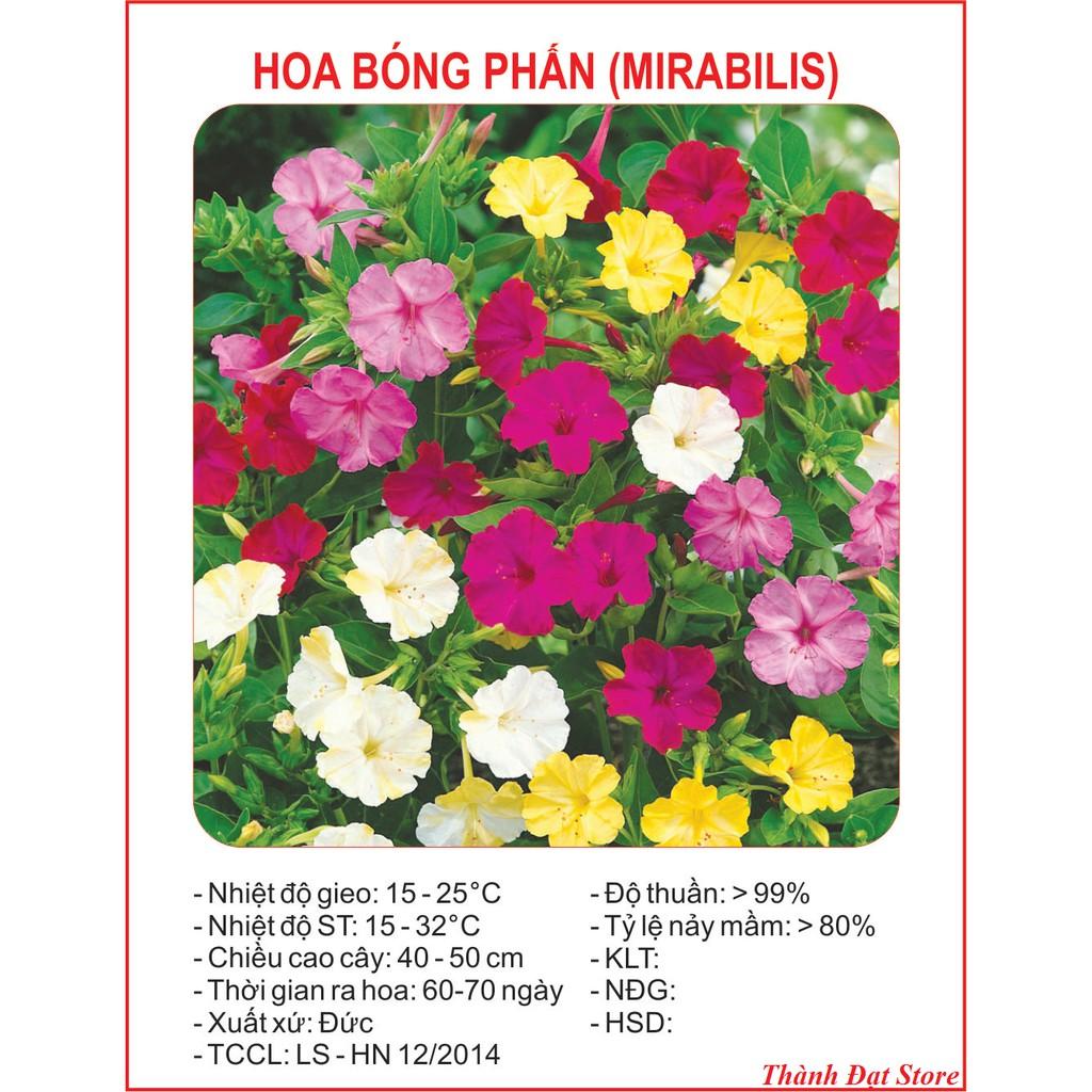Hạt giống hoa bông phấn mix Nhiều màu 50 hạt/gói