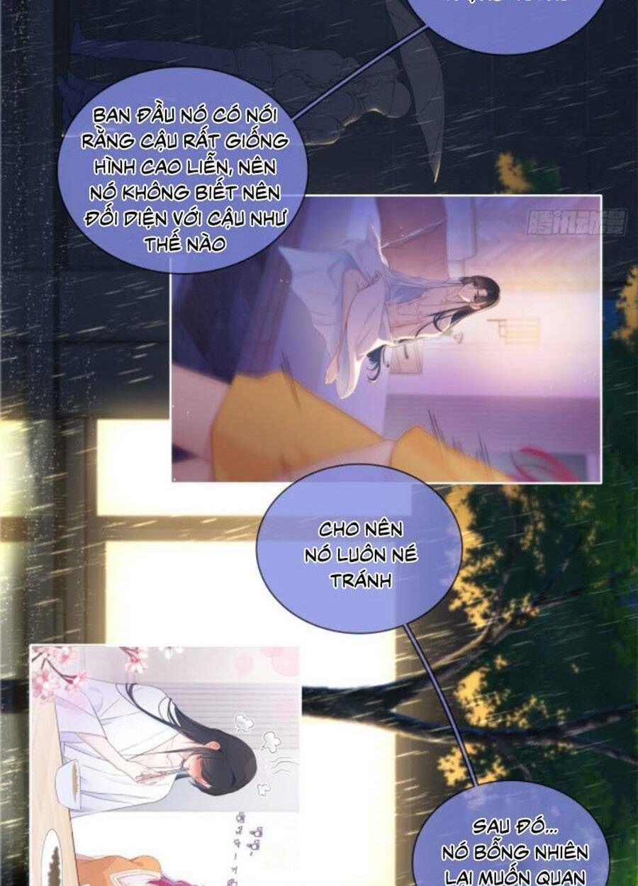 kim ốc tàng kiều chapter 58 12