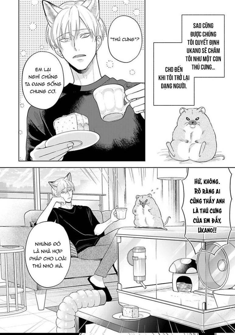 khiến một omega tuyệt hảo rít lên chapter 10 18