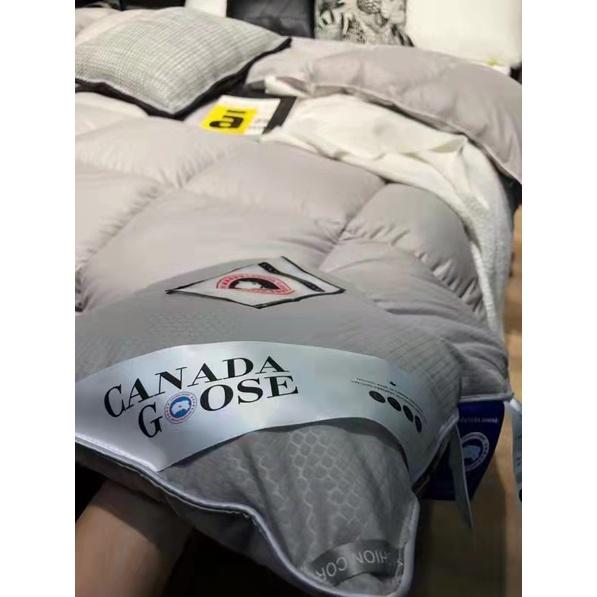 CHĂN CANADA GOOL LÔNG VŨ CAO CẤP 2 TRONG 1(FREE SHIP)