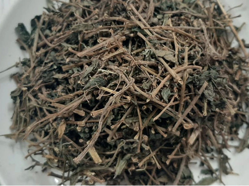 Cây dòi thân tím (Cây thuốc dòi - Cây bọ mắm - Cây dòi tím) - Sản phẩm khô làm trà - Gói 500gr