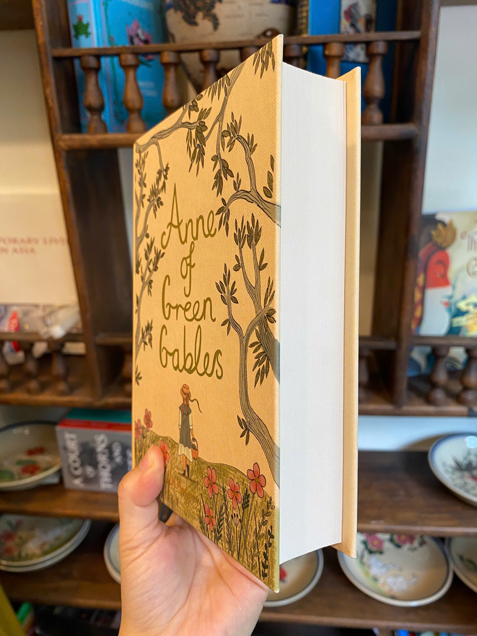 Sách - Anne of Green Gables (Wordsworth Editions) by L.M. Montgomery | Children's Fiction - Bìa cứng