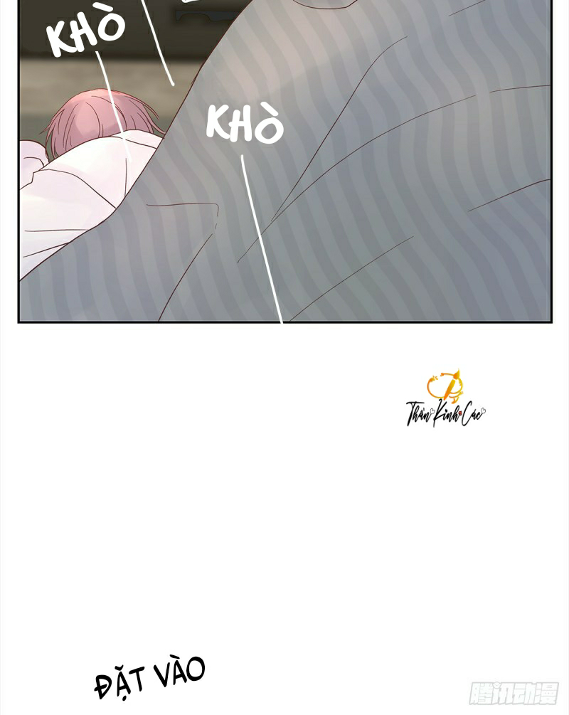 mối tình đầu gian nan của chu thành nhất chapter 24 31