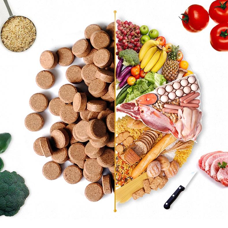 Thức ăn dán BioZym cao cấp - Cám viên dán cho cá cảnh - cám dán viên tảo- viên thịt- thức ăn dán thủy sinh - shopleo