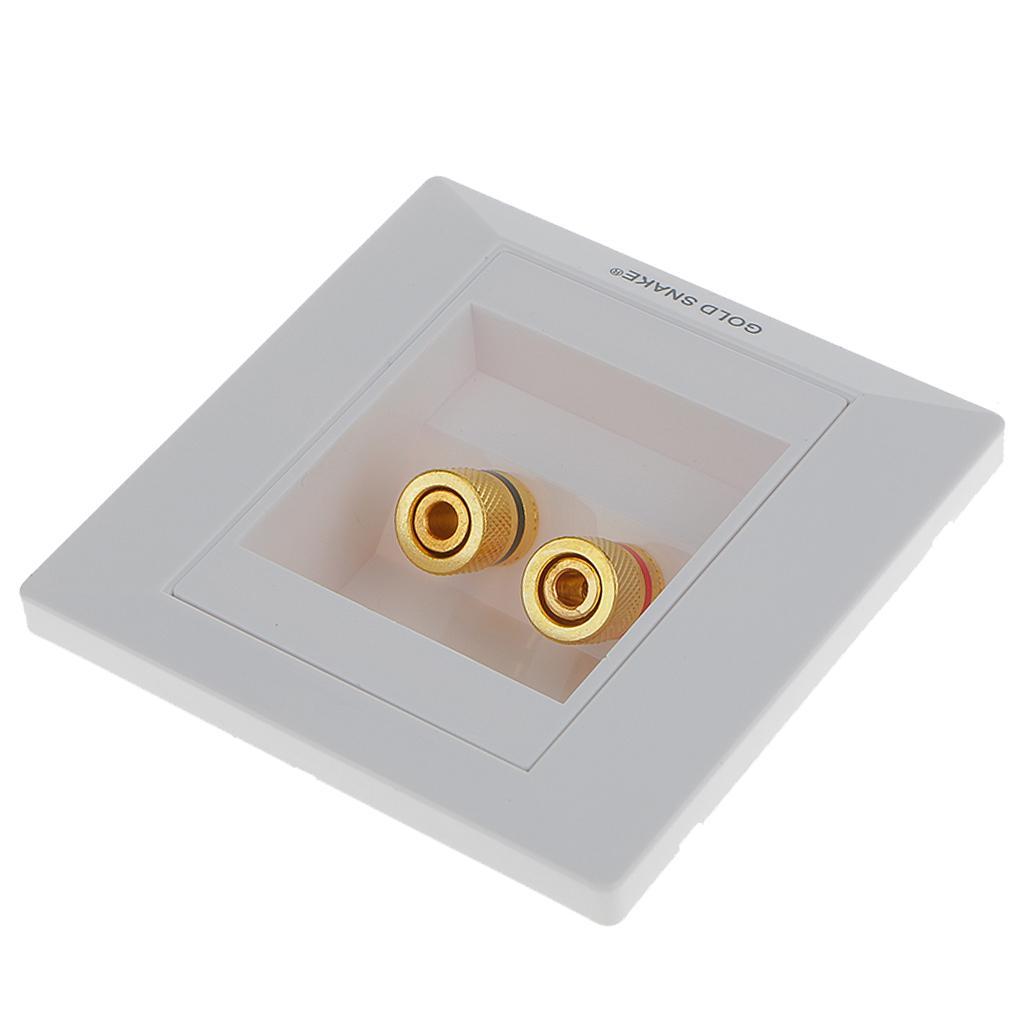 White Gold  2 Binding Post Audio  Stereo Wall Plate Panel Connector