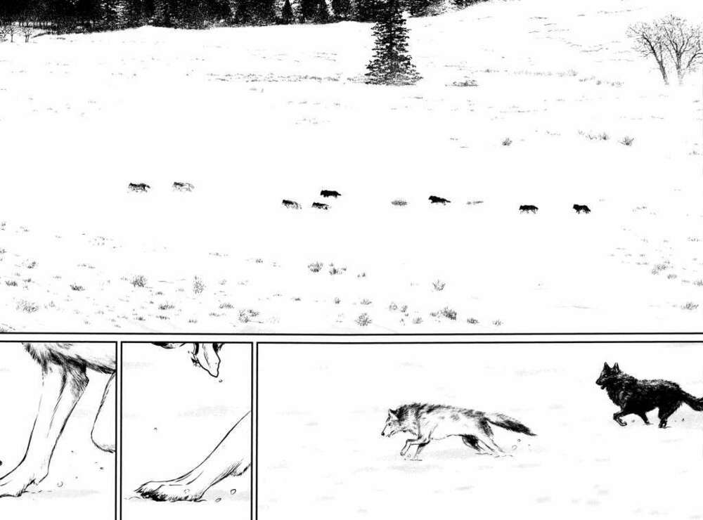 wolf guy - wolfen crest chapter 115 18
