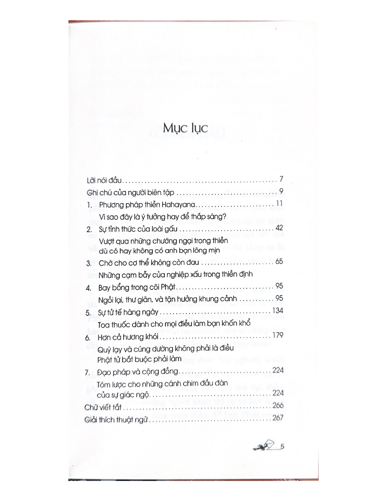 Sự Tỉnh Thức Của Loài Gấu