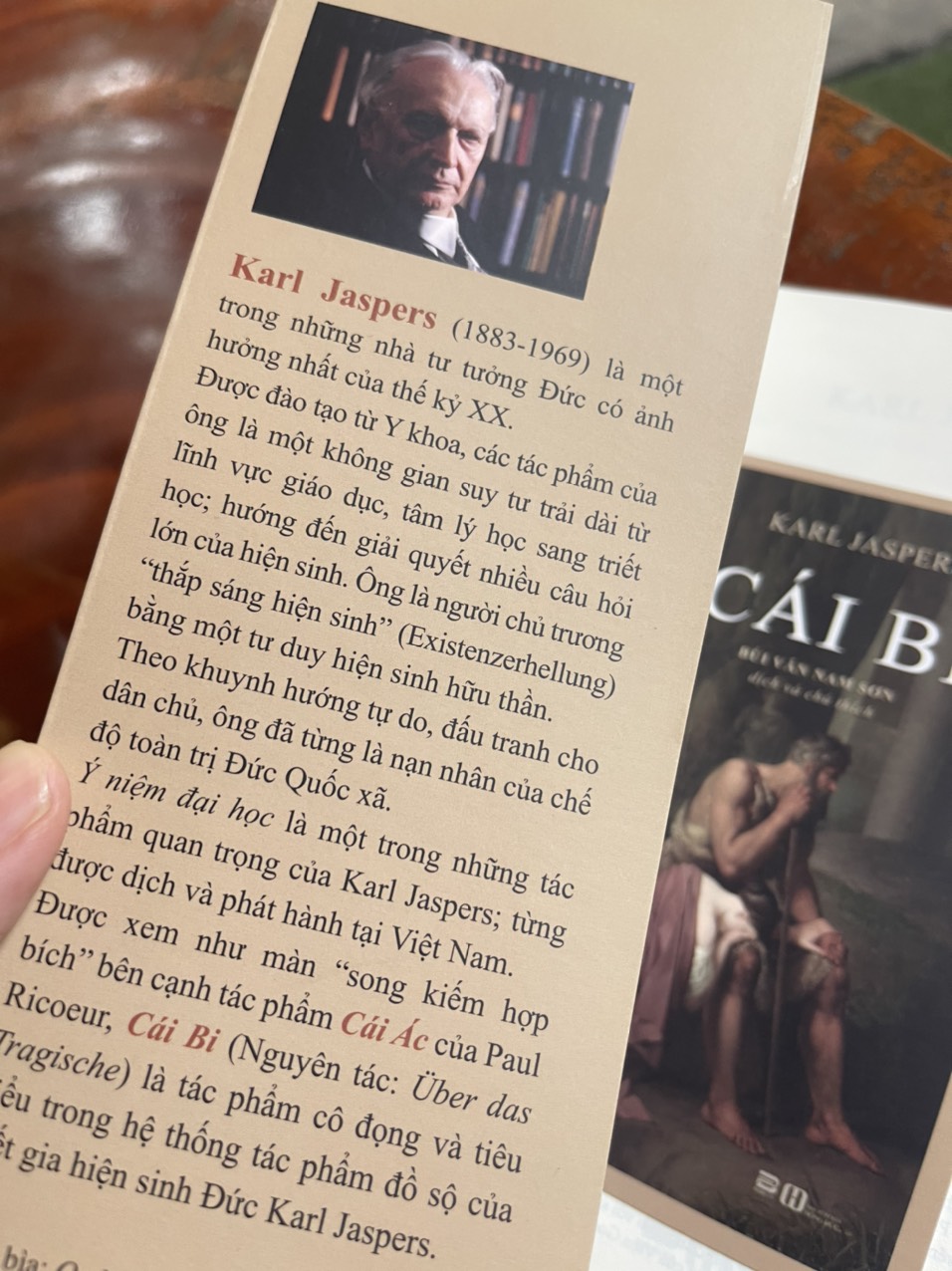 CÁI BI – Karl Jaspers – Bùi Văn Nam Sơn dịch – Phanbook – bìa mềm