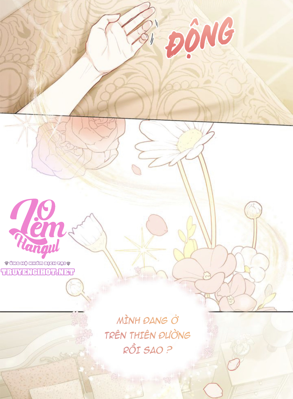 đi tìm nàng camellia chapter 2 3