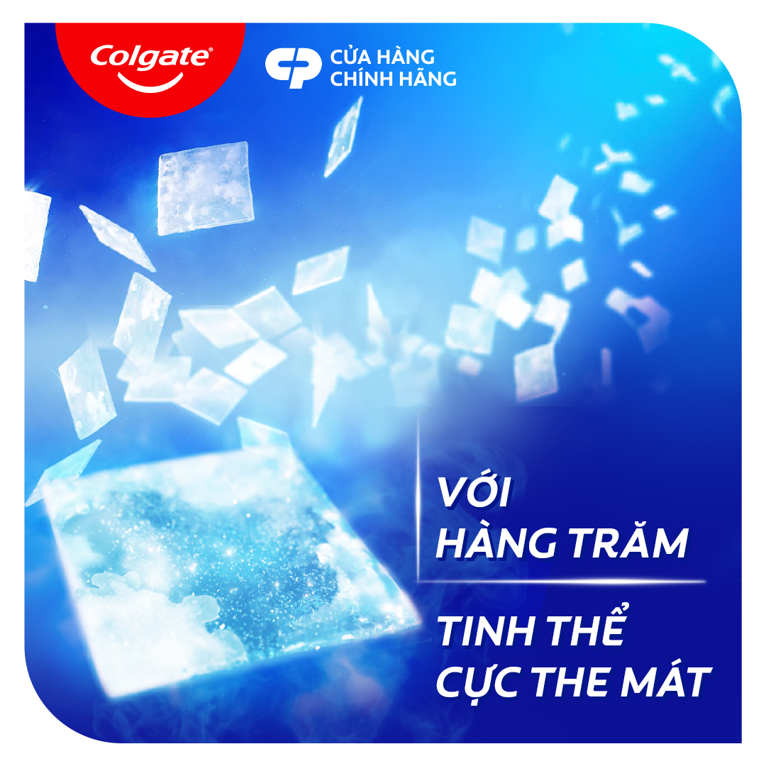 Bộ 3 kem đánh răng Maxfresh Bạc hà 180g