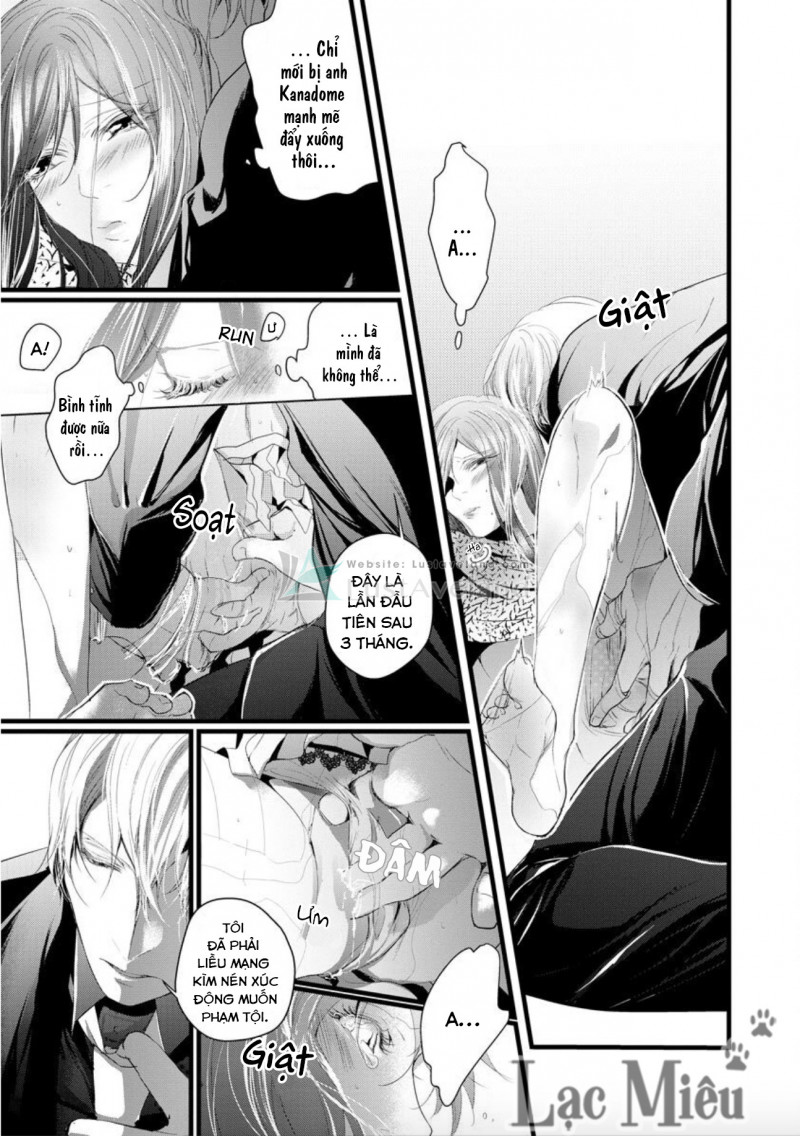 hợp đồng hôn nhân với ông trùm yakuza xấu xa chapter 7 13