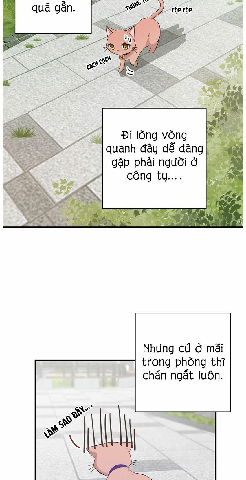 cuộc sống kỳ thú chapter 21 11