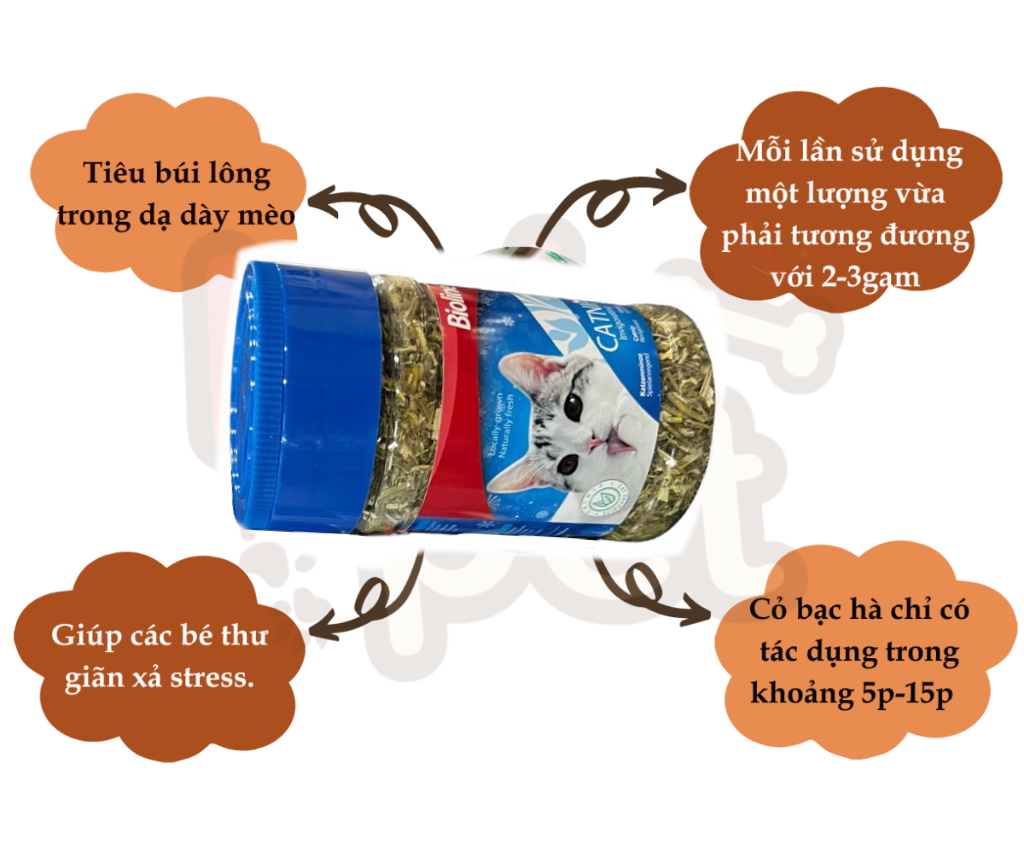 Cỏ catnip cho Mèo Bioline Catnip Hũ 30g Giúp Mèo Giải trí Thư giãn Xả stress Hỗ trợ tiêu hóa búi lông -Pet shop Uytinpro