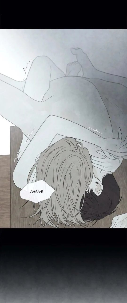 summer solstice point chapter 15 10