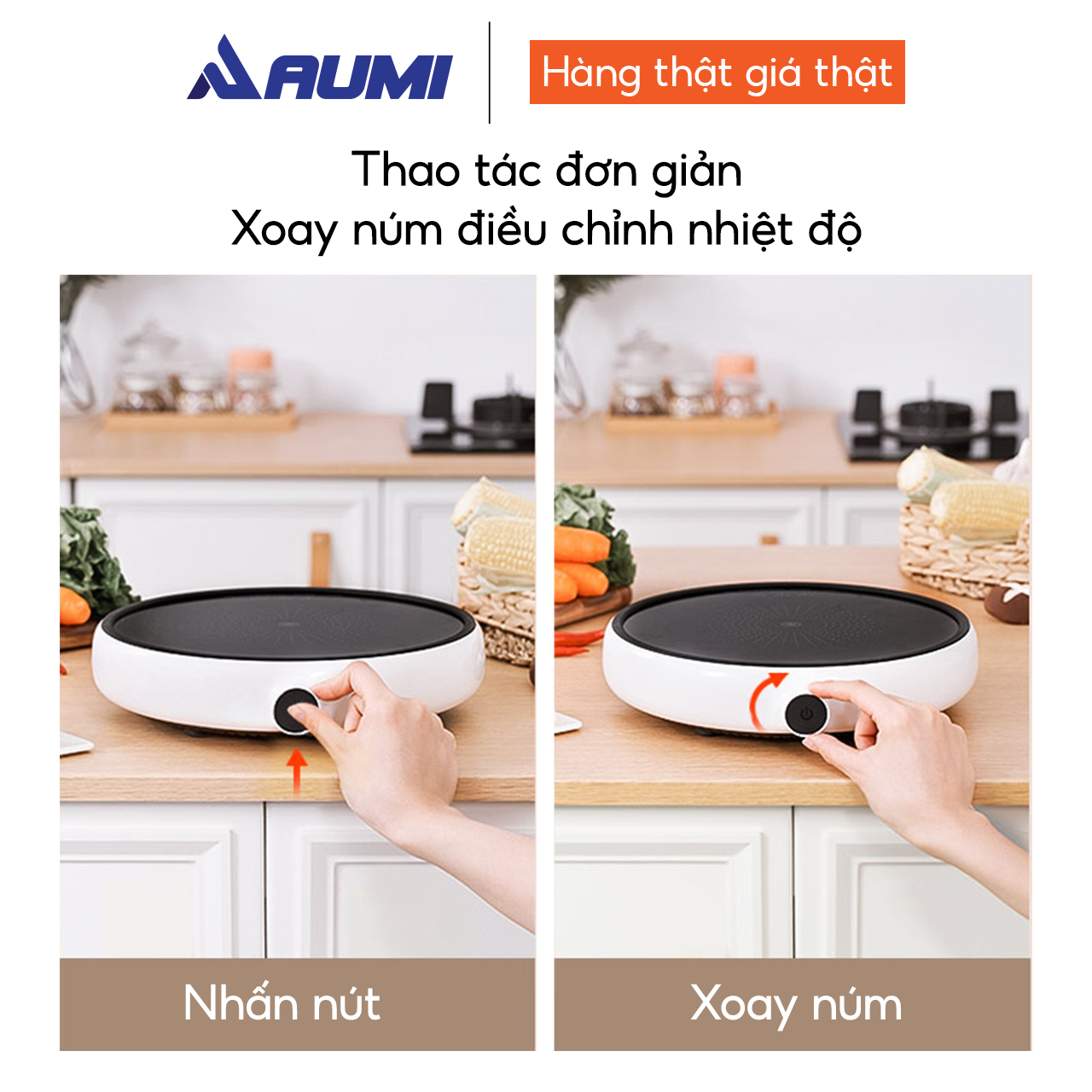Bếp điện từ cảm ứng Zhiwuzhu ZCL010-1A