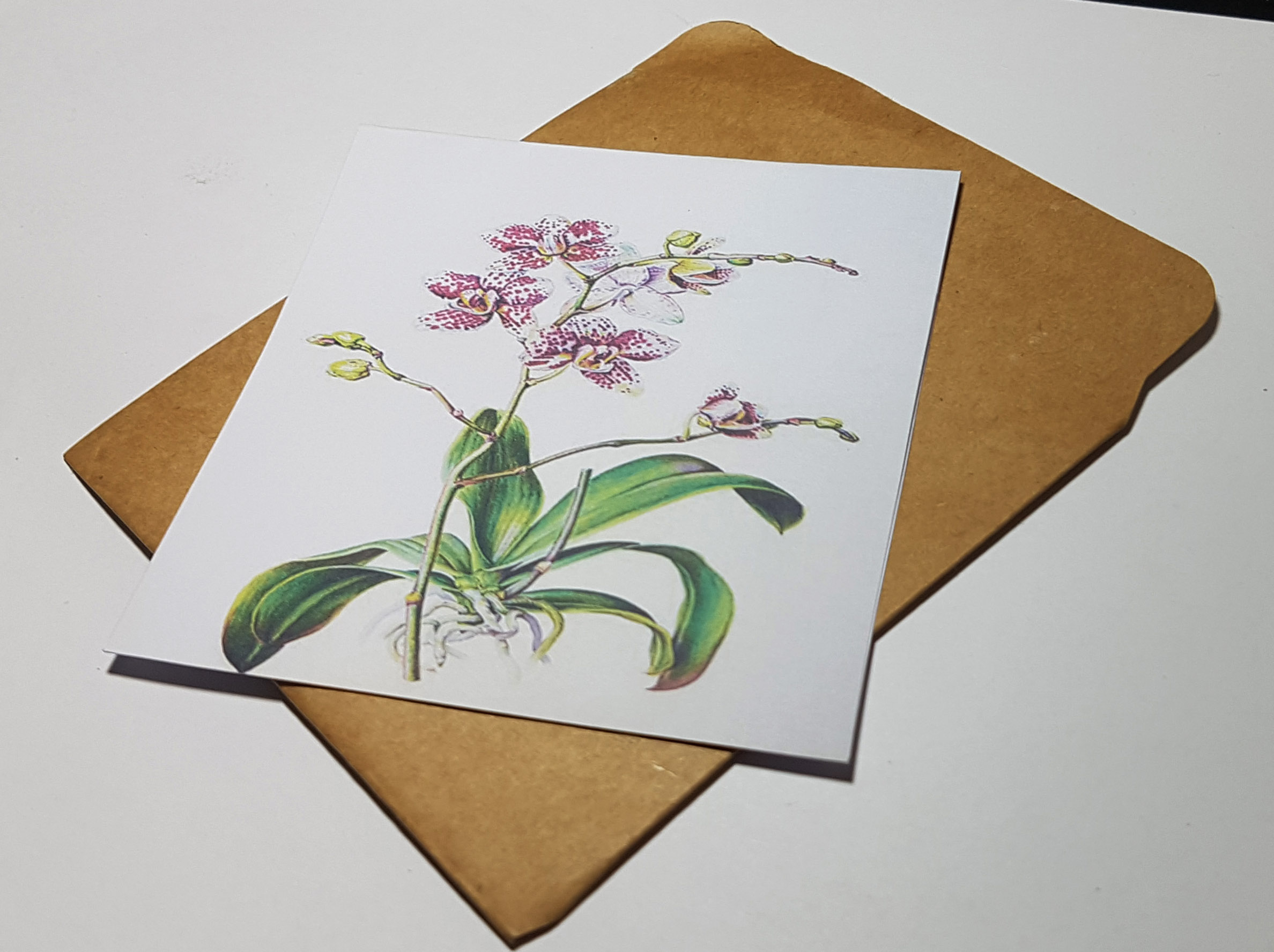 Thiệp phong cách Vintage card quà cám ơn ,chúc mừng sinh nhật và giử tặng người thân yêu