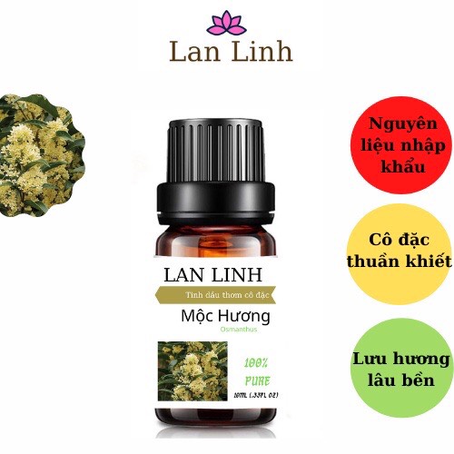 Tinh dầu thiên nhiên nguyên chất thơm lâu hương Mộc Hương cô đặc Lan Linh, khử mùi, xông thư giãn