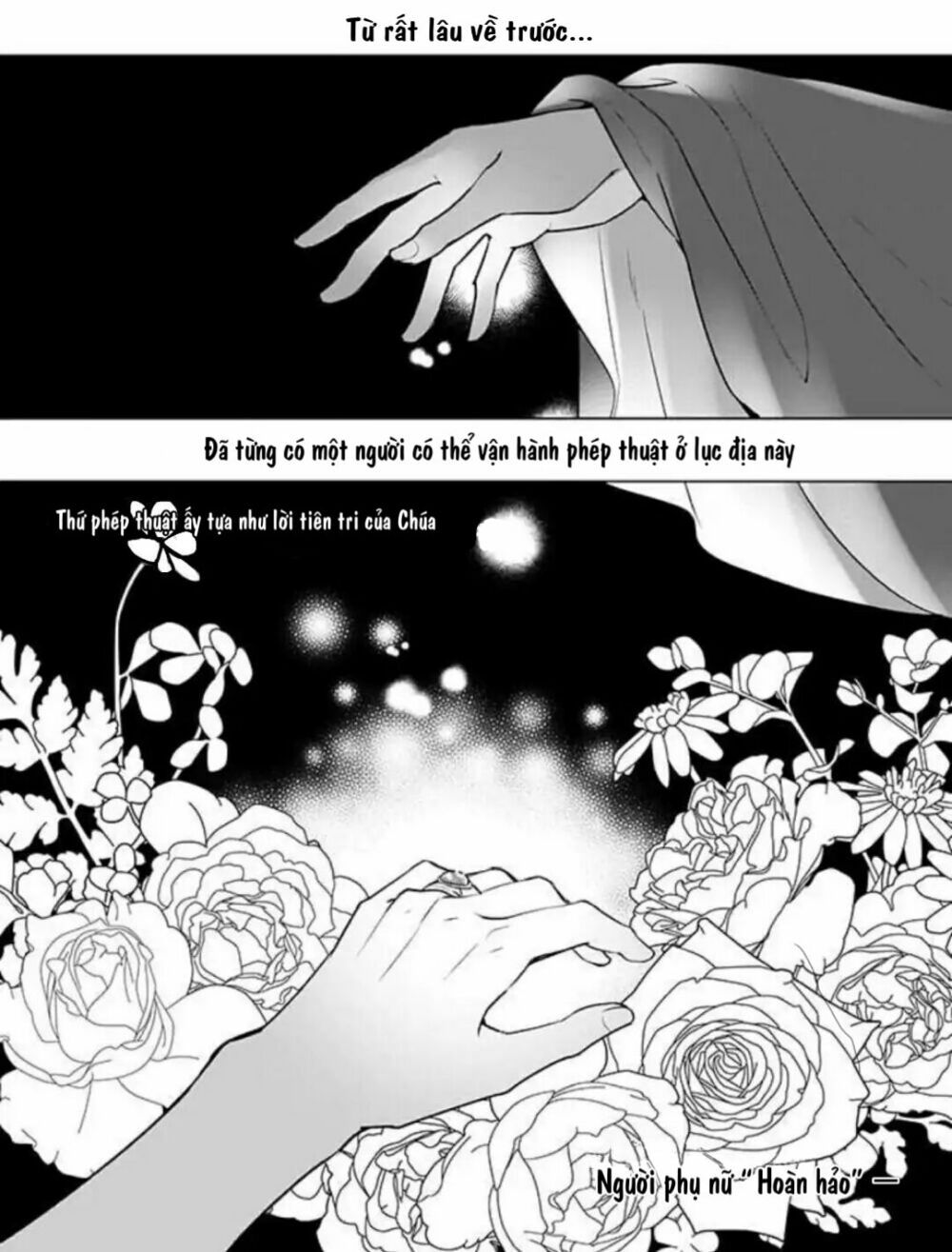 tôi là ứng cử viên cho vị trí hoàng tử phi nhưng tôi chắc kèo là tôi trúng rồi! chapter 1 1