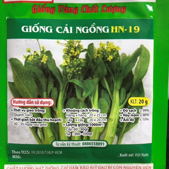 Hạt giống cải ngồng HN 19