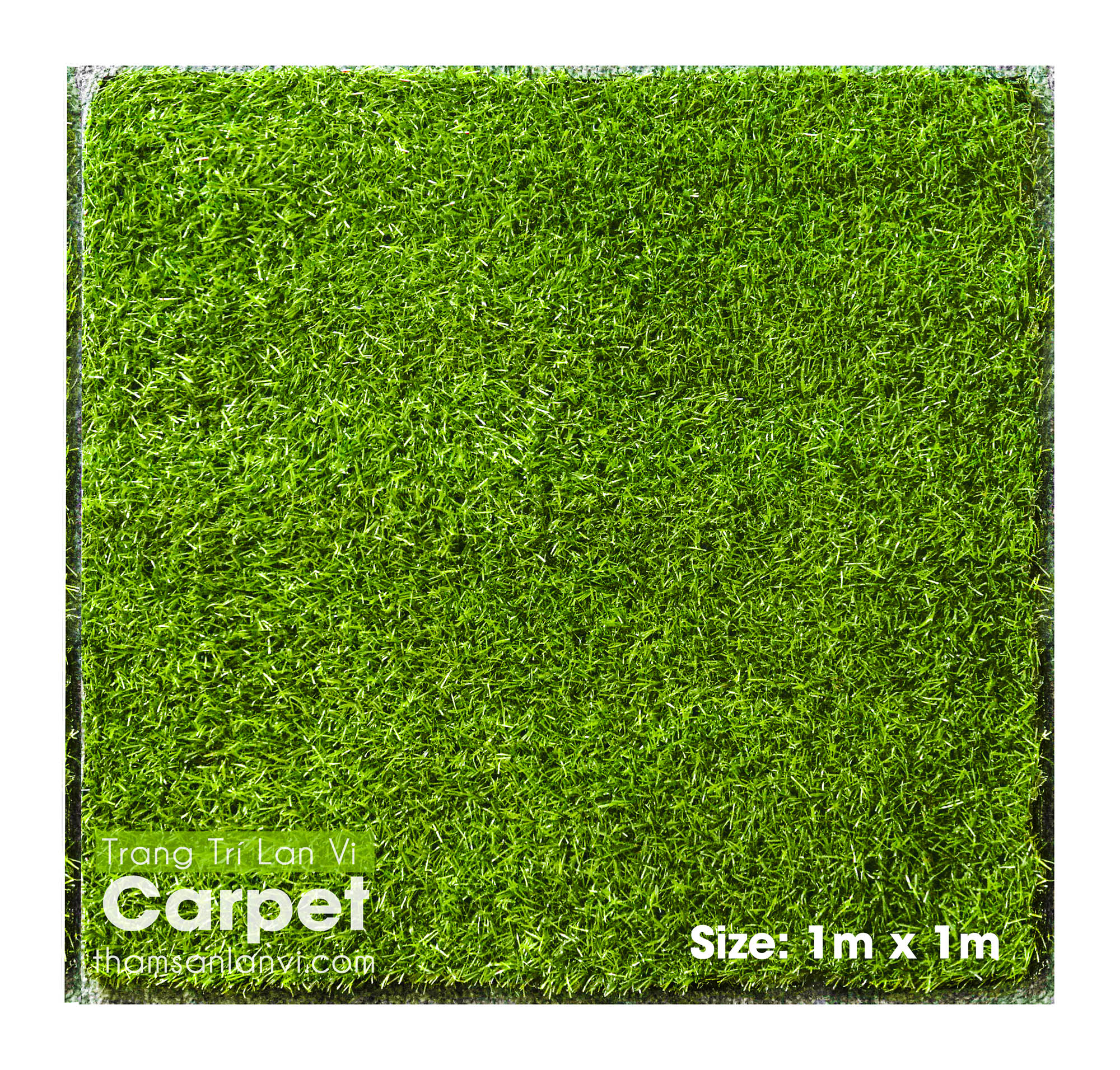 Thảm cỏ nhân tạo cao 2cm, tấm cỏ trang trí nhà cửa, sân vườn, kích thước 1m x 1m