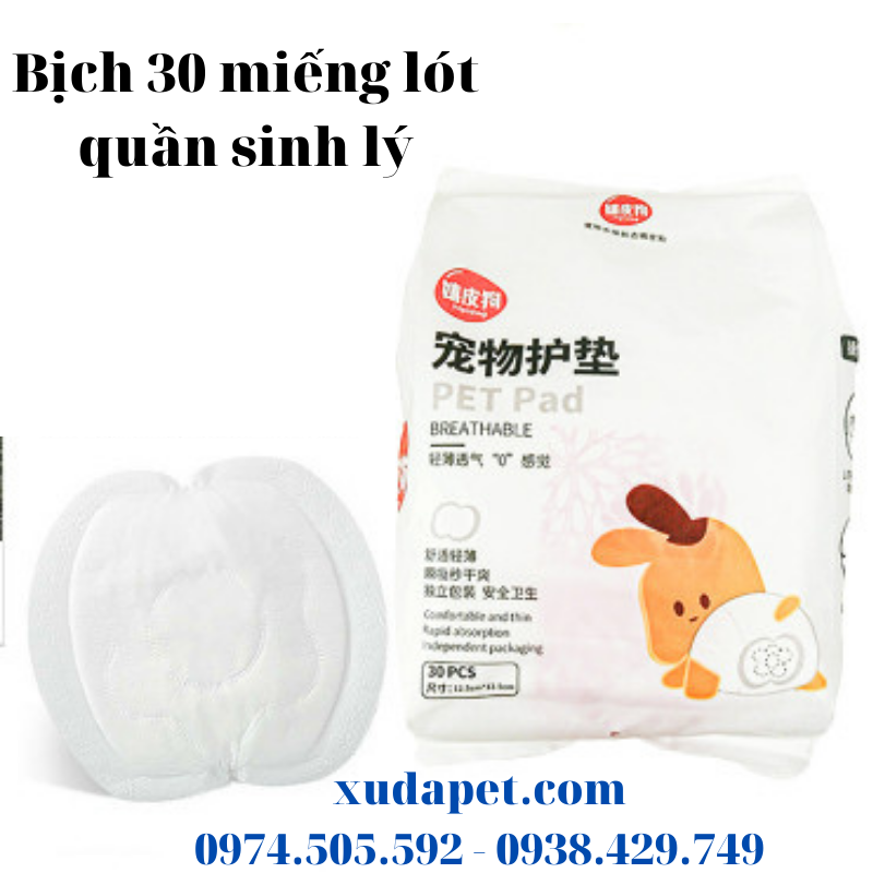 BỊCH 30 MIẾNG LÓT QUẦN SINH LÝ CHO CHÓ CÁI TRONG NHỮNG NGÀY KINH NGUYỆT - SP005298