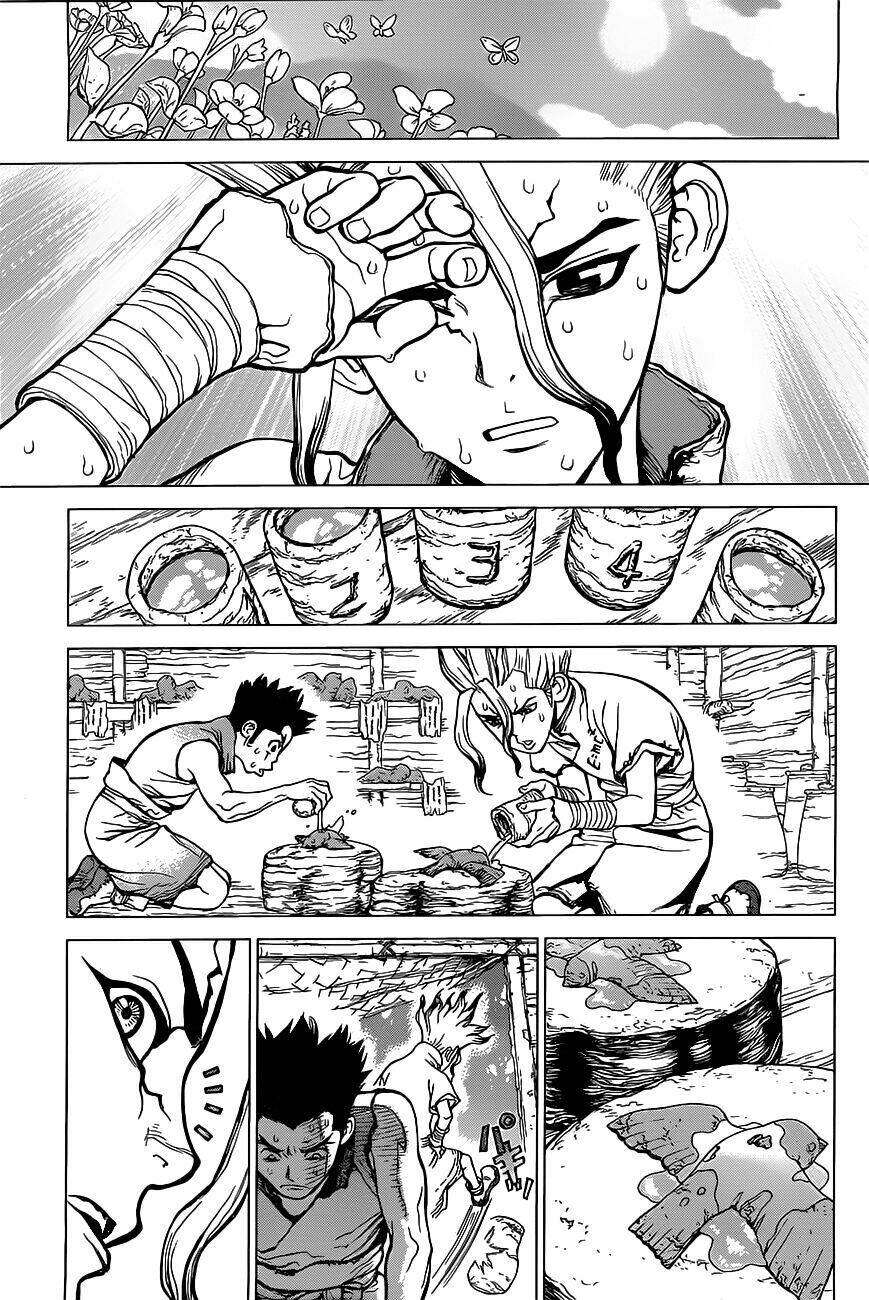 dr.stone - hồi sinh thế giới chapter 2 20