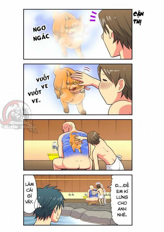 cat is silver vine chapter 16 3