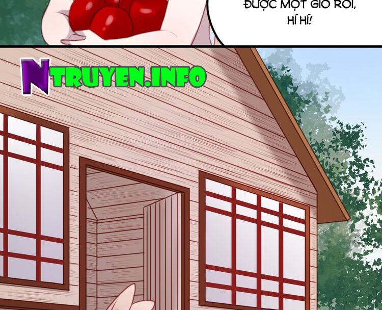 lượm được một tiểu hồ ly phần 1 chapter 61 23