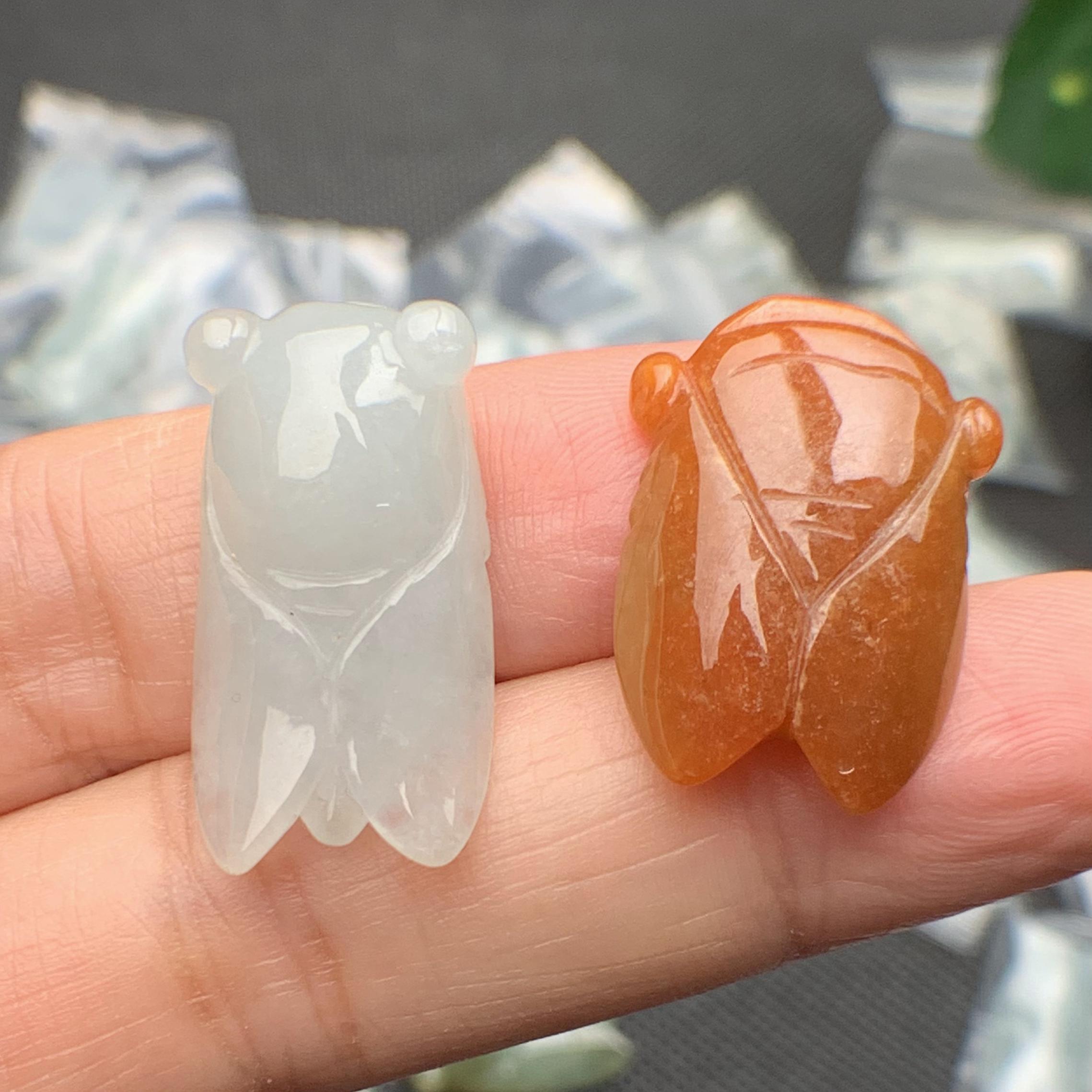 Ve sầu ngọc phỉ thúy tự nhiên Jadeite A