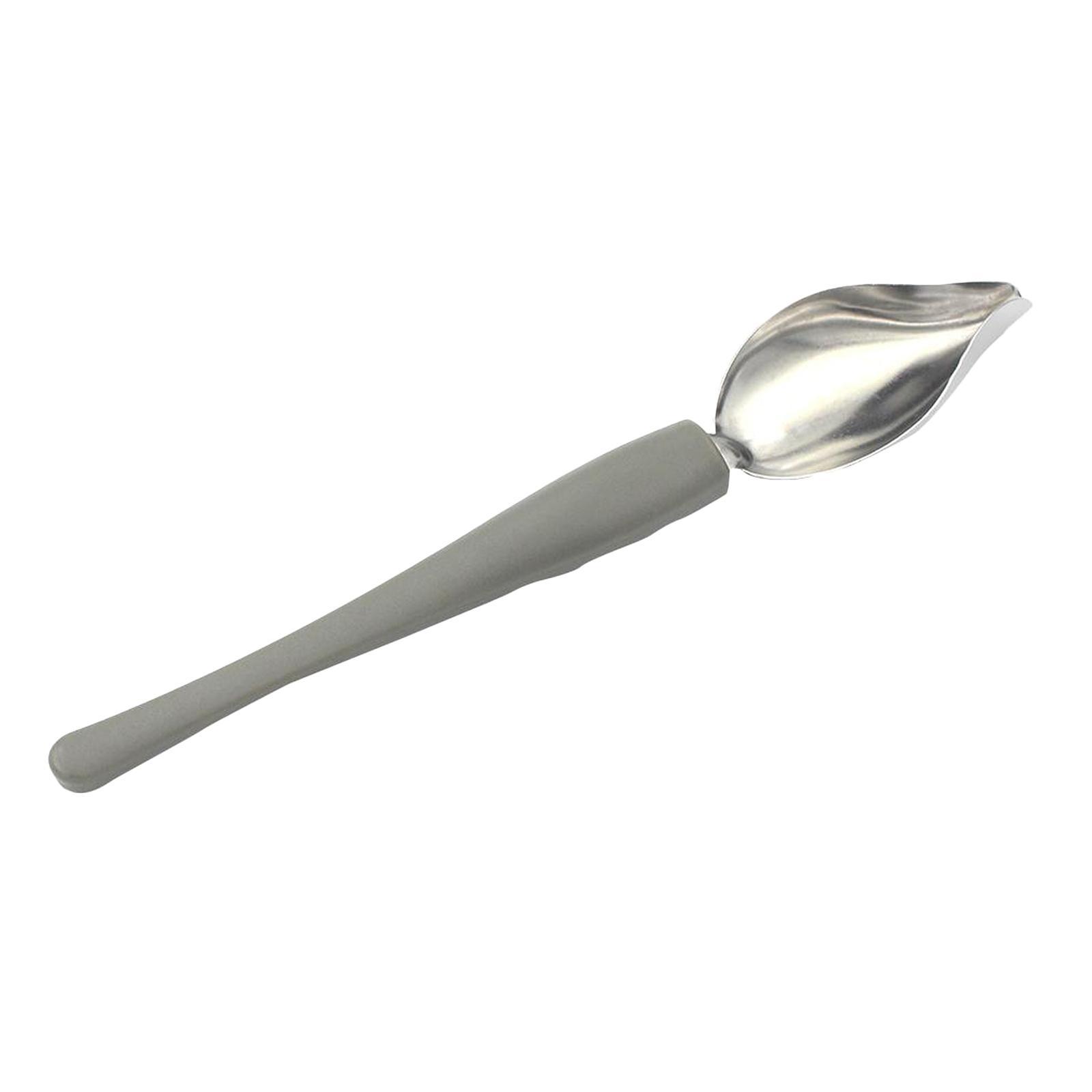 Plate Dish Sauce Painting Art Draw Tool Spoon