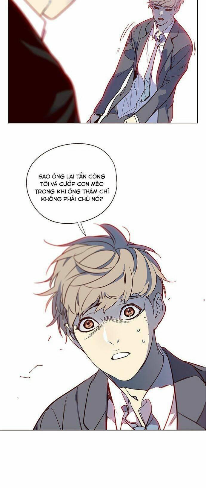 biến thân thành mèo chapter 12 5