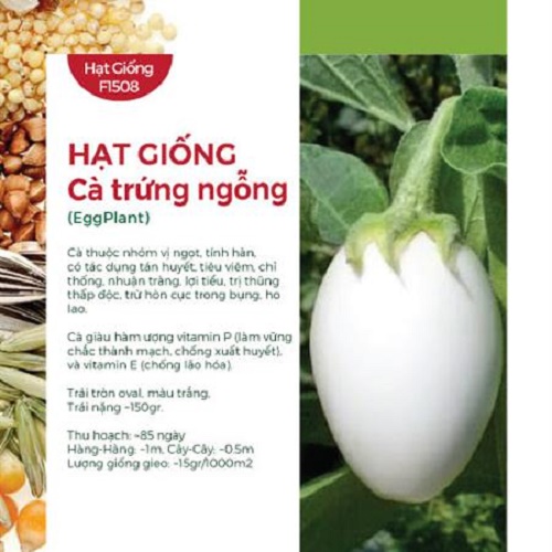 Hạt Giống Cà Trứng Ngỗng (~30 hạt)